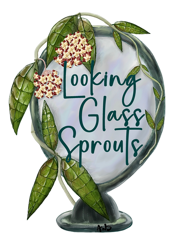 Looking Glass Sprouts